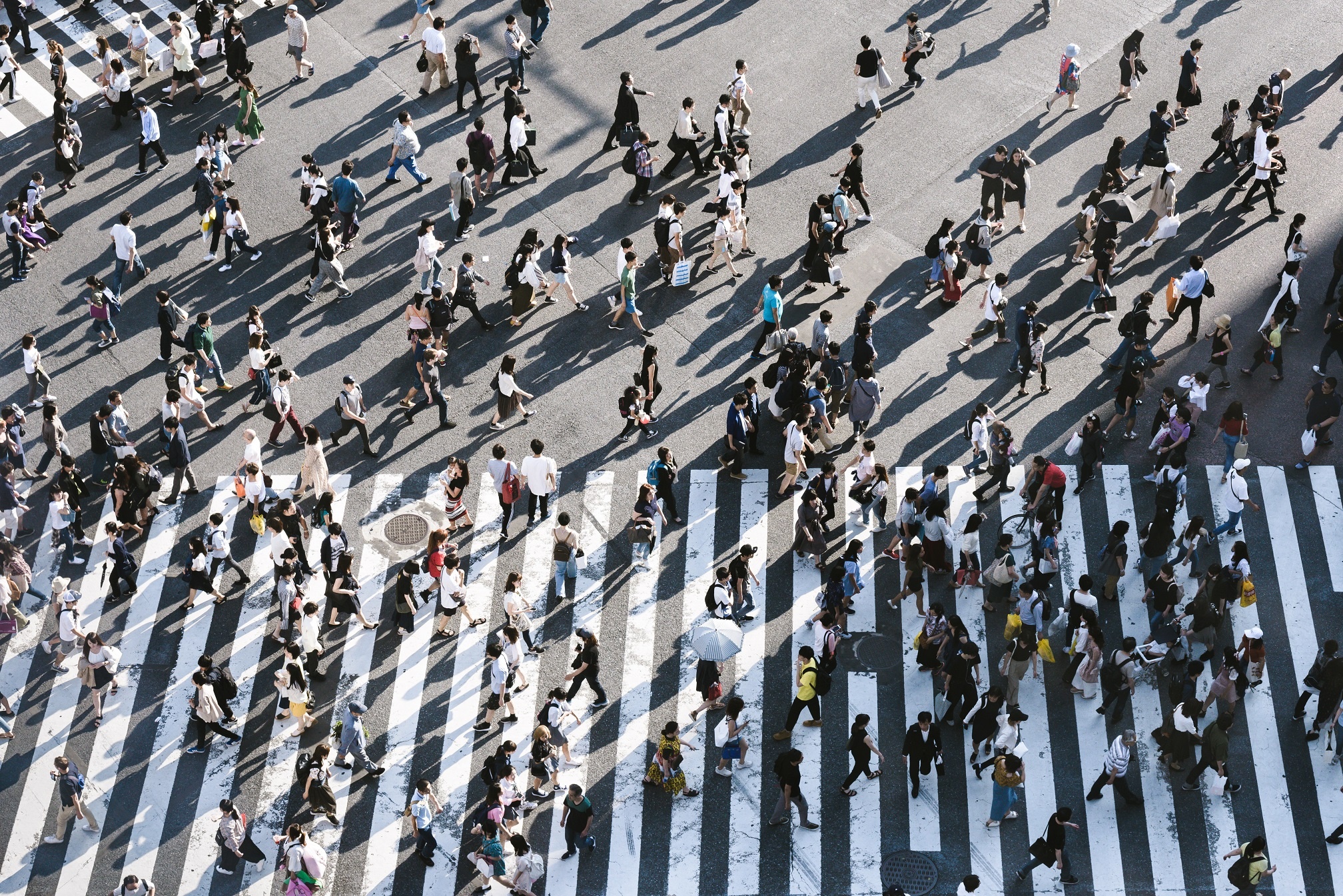 ryoji-iwata-697773-unsplash-1